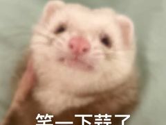 -肥韬茶餐厅(海上世界店)