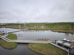 -春花秋色城市公园