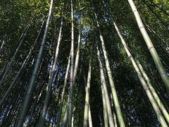 -竹泉村旅游度假区