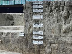 -金沙遗址博物馆