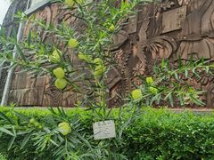 -广州神农草堂中医药博物馆