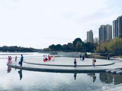 -南翔镇银翔湖公园