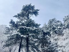 -华山风景名胜区