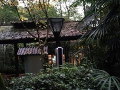 -青城道汤池