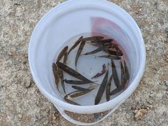 -北仑森林植物园