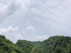 -牛背梁国家森林公园