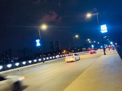 -南湖大桥