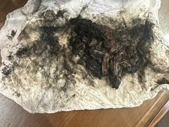 -御面斋精品面馆