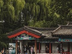 -百脉泉景区
