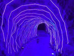 -黔灵山公园-南门售票处