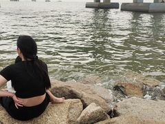 -宝安西湾红树林湿地公园