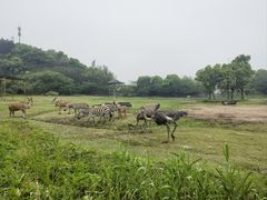 -宁波野生动物园