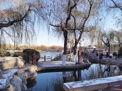 -济南大明湖景区