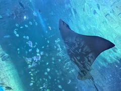 -常州海昌海洋探索馆