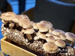 -凤园椰珍·臻品椰子鸡(保利时光里店)