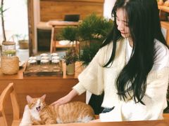 -知亘茶食
