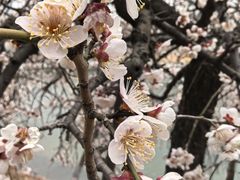 -白塘生态植物园