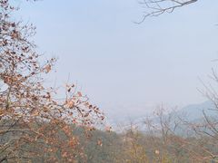 -灵顺寺