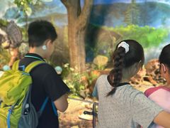 -湖南省地质博物馆