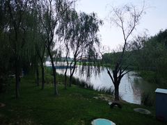 -大兴滨河森林公园