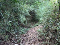 -敬亭山风景名胜区