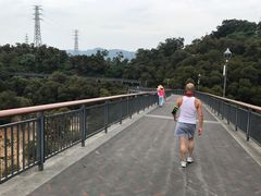 -金鸡山公园