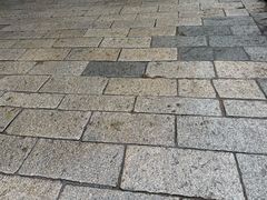 -北京世界公园