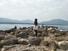 -西涌国际滨海旅游区