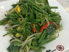 -丝路传奇·中国拉面航母店(北医三院店)