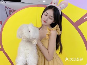 安哥拉巨兔肥嘟嘟的体型特别大