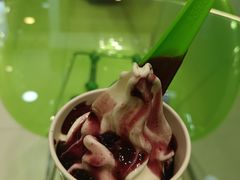 -Salud撒露欧洲冻酸奶(蓝色港湾店)