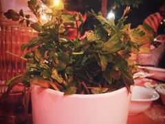 -老北京热气涮羊肉(正荣时代广场店)