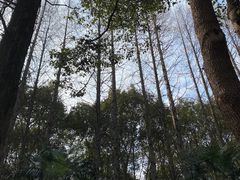 -同里国家湿地公园
