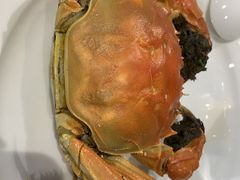 大闸蟹-鑫汇海鲜火锅(蓟州店)