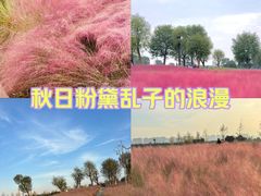 -汉长安城未央宫国家考古遗址公园