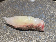 -镹·鱼料理  国产鱼使用店