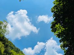 -石台牯牛降景区