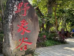 -野象谷景区