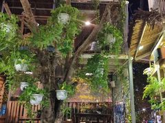 -Rainforest
