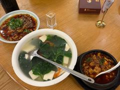 -陈麻婆豆腐总店