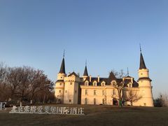 -北京张裕爱斐堡酒庄