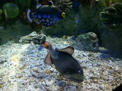 -福州罗源湾海洋世界旅游区