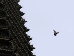 -古塔公园