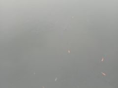 -重庆彩云湖湿地公园