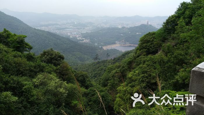 廣東觀音山國家森林公園景點圖片 - 第4張