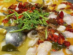 -龙梅肥肠鱼(明瓦廊店)