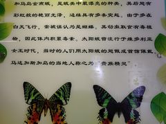 -上海昆虫博物馆