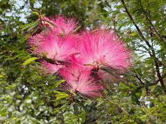 -三门江国家森林公园