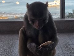 -三亚绿发山海天JW万豪酒店