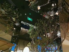 -桂满陇·海市蜃楼·黑金(国金店)